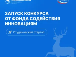 Нижегородцы могут получить грантовую поддержку за победу в конкурсе «Студенческий стартап» от Фонда содействия инновациям
